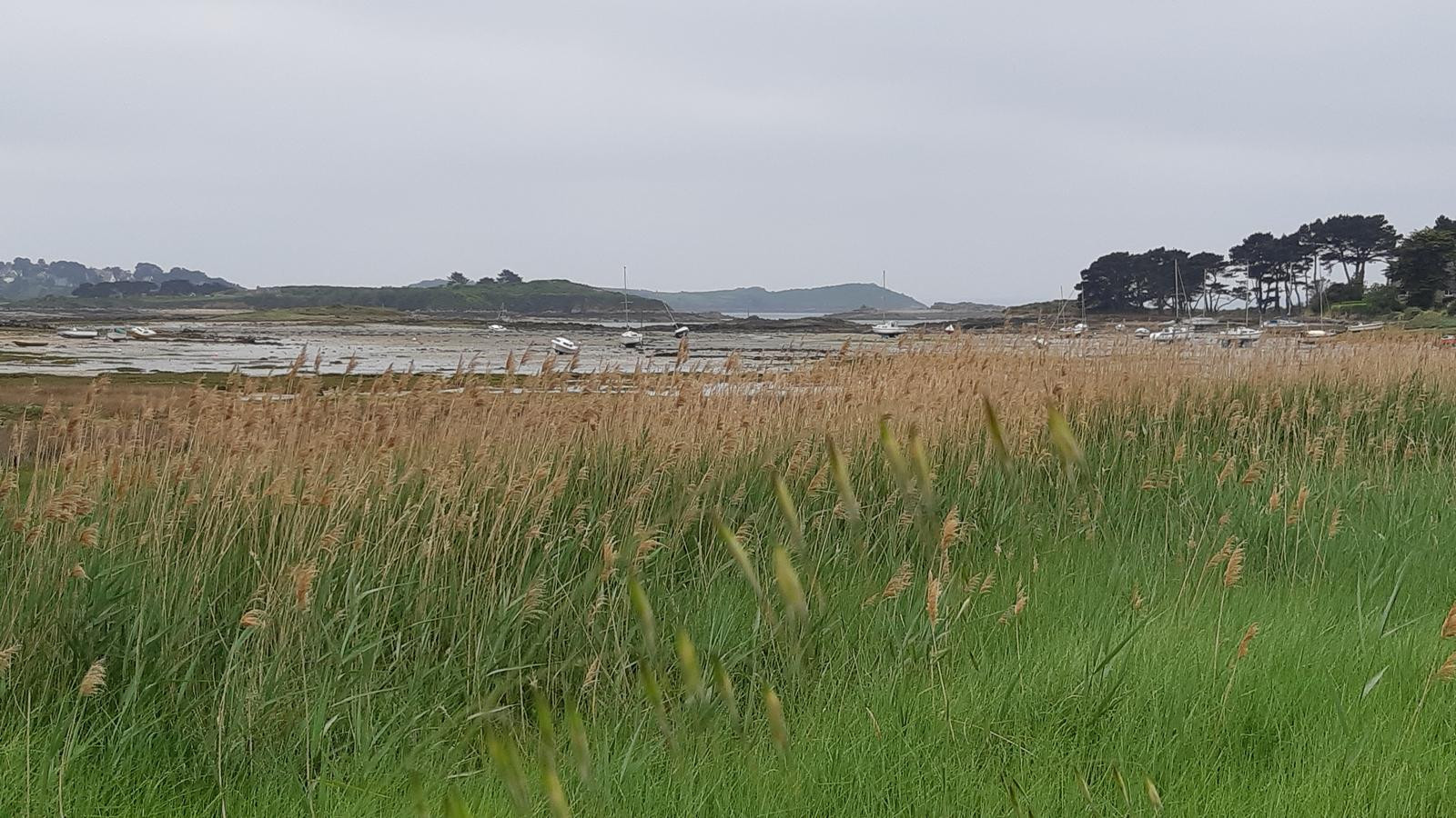 L'Île grande